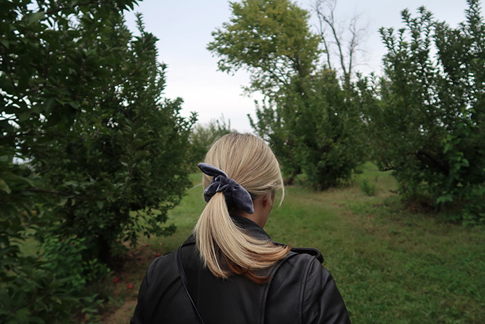 scrunchie